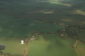 1036.jpg