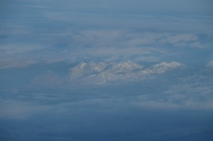 1043.jpg