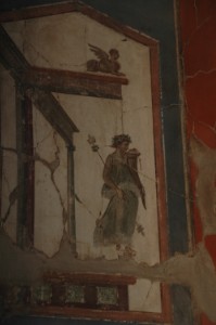 486.jpg