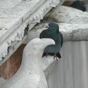 759.jpg